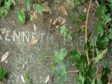 image number Pretty Kenneth 268